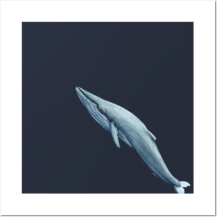 whale - watercolour painting Posters and Art